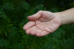 A close-up of an empty outstretched hand against a green background.