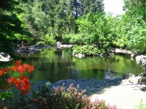 Duck Pond Lithia Park Blue speaker icon symbolizing sound or volume.