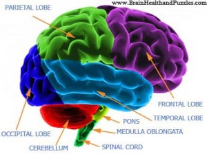 Honor Your Mind Blue speaker icon symbolizing sound or volume.